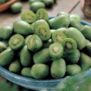 A bowl of cut Actinidia arguta Issai self-pollinating kiwi vine fruit.