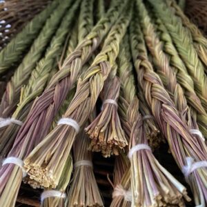 Sweet grass | Anthoxanthum nitens braids