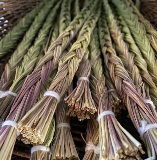 Sweet grass | Anthoxanthum nitens braids