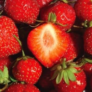 Fragaria mara des bois strawberries