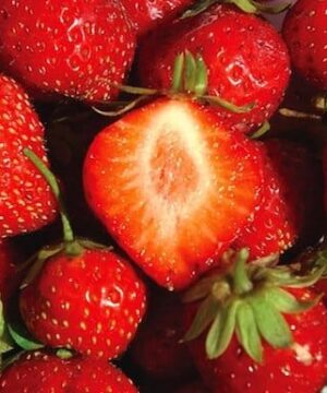 Fragaria mara des bois strawberries