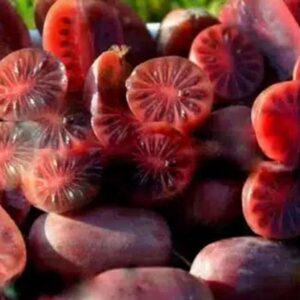 Actinidia arguta 'Purpurna Sadowa' is known for its almost eggplant purple to deep red fruits that last much longer than other varieties.