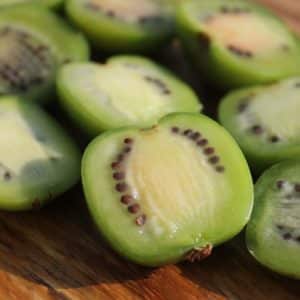 Green kiwi fruits cut in half.