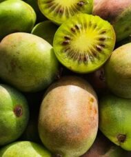 Red and green-skinned Geneva Hardy Kiwi fruits (aka Berries Kiwi Fruit), some cut open to reveal green and golden flesh.