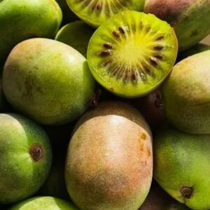 Red and green-skinned Geneva Hardy Kiwi fruits (aka Berries Kiwi Fruit), some cut open to reveal green and golden flesh.