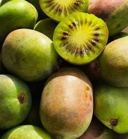 Red and green-skinned Geneva Hardy Kiwi fruits (aka Berries Kiwi Fruit), some cut open to reveal green and golden flesh.