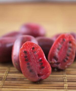 Mirzan Baby Kiwi plants are also known as kiwi berry