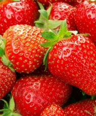 Malwina late-season strawberries bloom and fruit later than almost any strawberry on the market. If your looking for strawberries all season