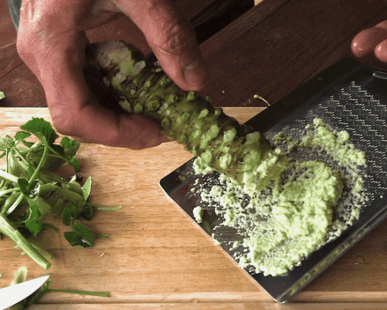 Daruma wasabi plant | Wasabia japonica daruma prepared Wasabia Japonica Daruma prepared to accompany sushi.