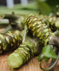 A group of brown and green wasabia japonica mazuma rhizomes on a kitchen cutting board.