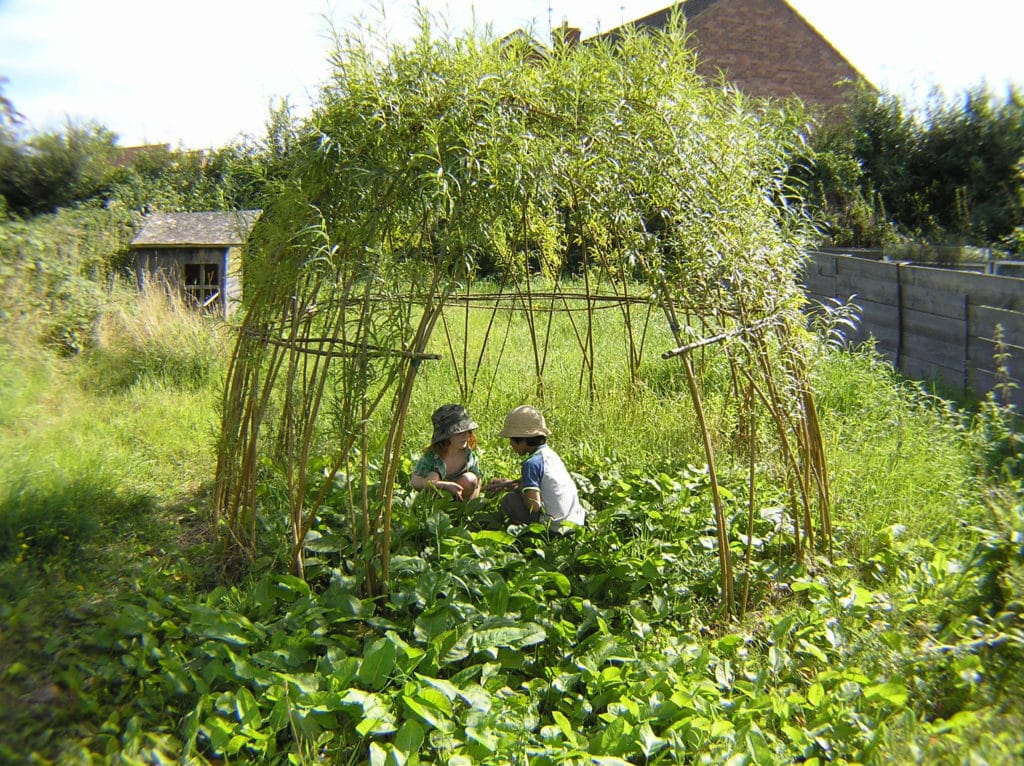Play Space Living Willow Dome 1024x766 - Willow Structures and Fedges