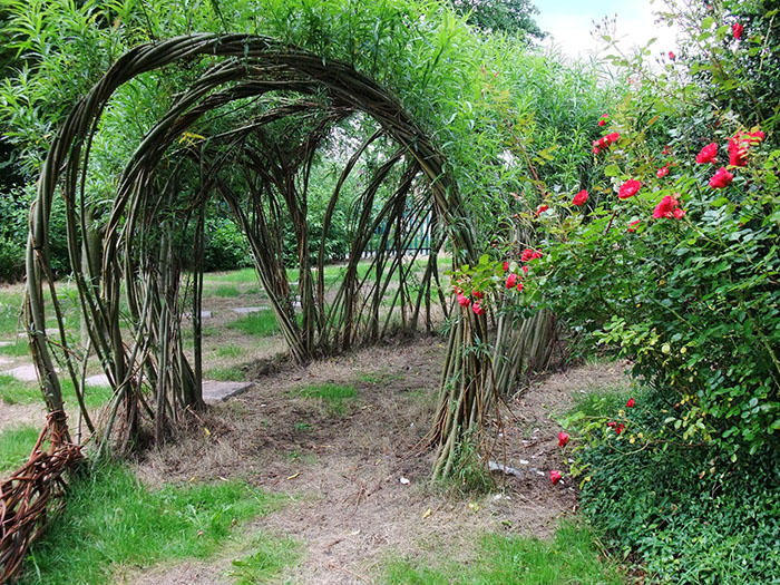 living willow2 - Willow Structures and Fedges