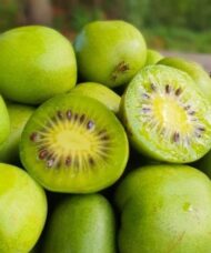 Kokuwa Hardy Kiwi Vine green