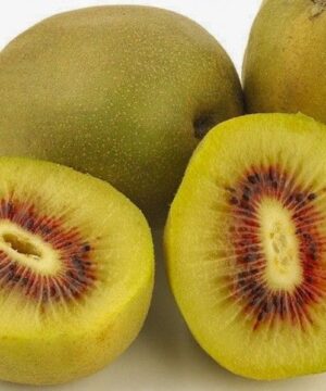 Kiwi Wonder Golden Kiwi smooth