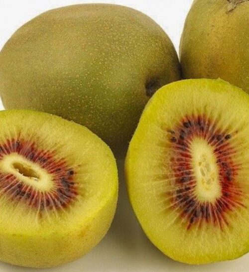 Kiwi Wonder Golden Kiwi smooth