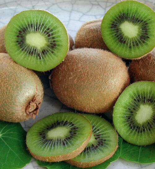 Hayward fuzzy kiwi | Actinidia deliciosa hayward Hayward Fuzzy Kiwi fruits cut in half to reveal green flesh with black seeds.