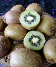 Female Fuzzy Kiwi fruits cut open to reveal soft