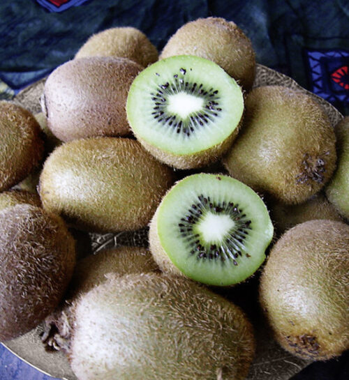 Female Fuzzy Kiwi fruits cut open to reveal soft