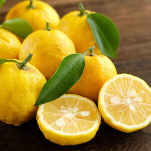 Yuzu Tree | Citrus Yuzu, Yuzu Ichandrin Plant | Citrus junos