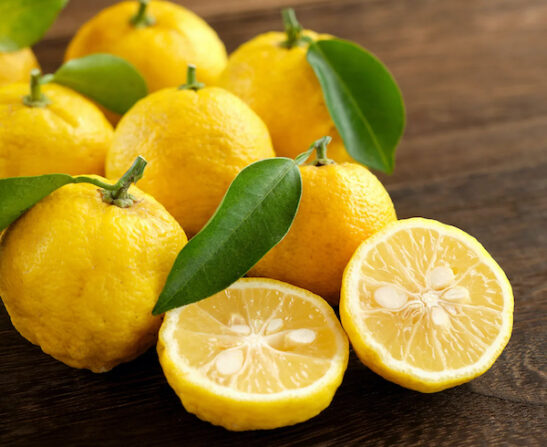Yuzu ichandrin | Citrus junos bumpy fleshed