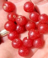 A handfull of Hidden Springs Autumn Olive Bush red fruits.