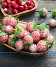 A wooden bowl of white fleshed