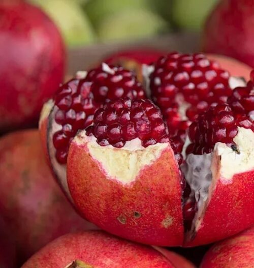 Ruby red fruit of A.C. Sweet pomegranate.