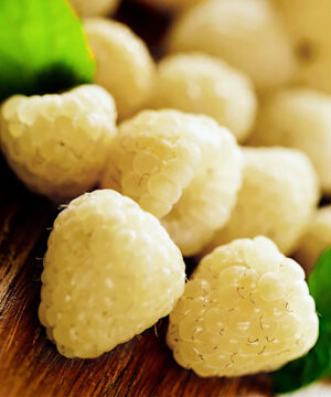 Snowbank white blackberry | Rubus snowbank Snowbank White Blackberry fruits on a tabletop.