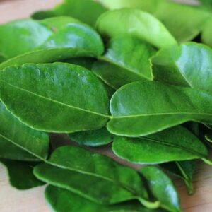 Kaffir Lime leaves for cooking.