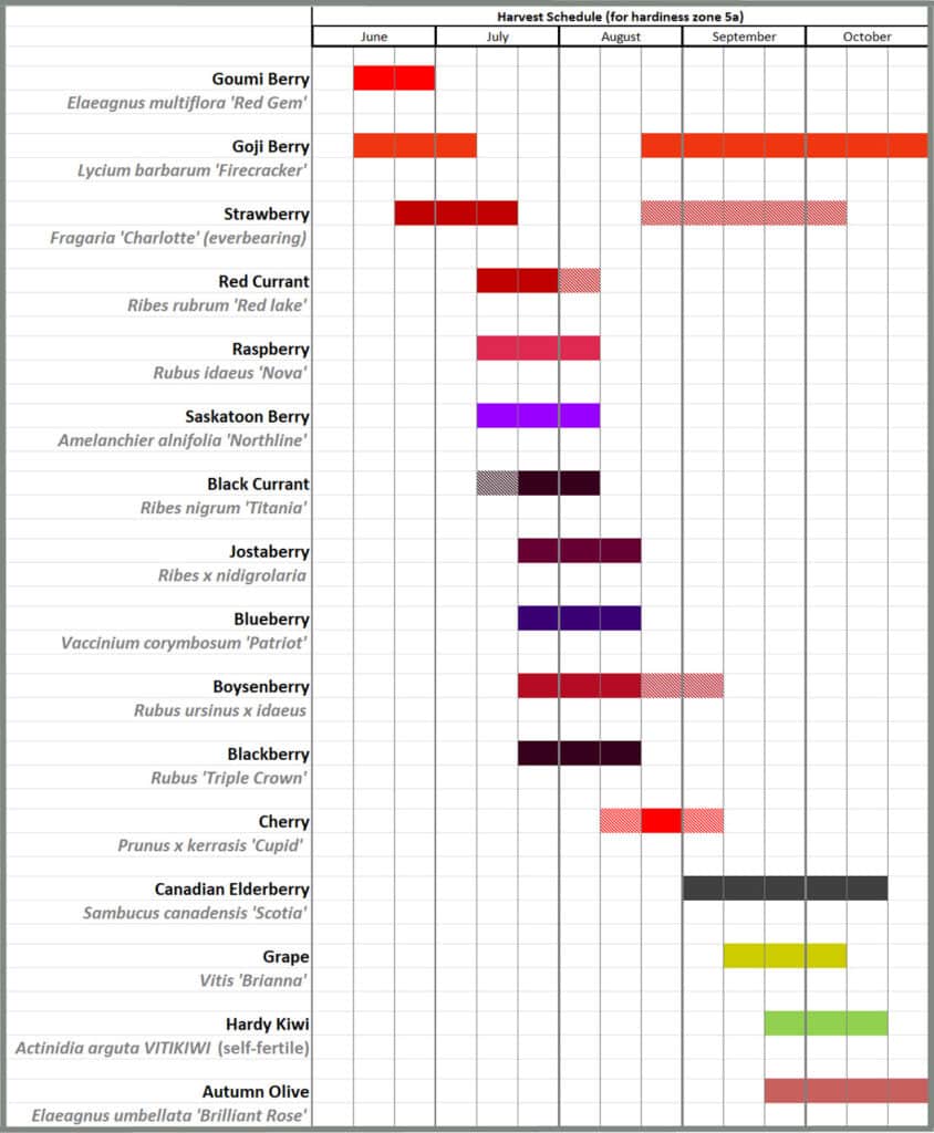 Edible Garden Harvest schedule 844x1024 - Fruit & Berry Bushes Harvest Schedule