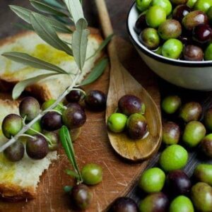 Coratina Olive plant green and black fruits in oil.