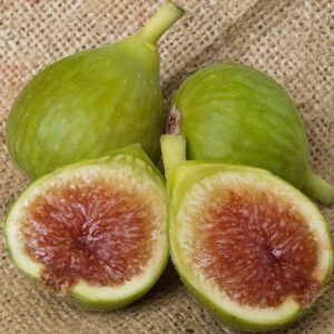 Ficus carica Desert King fruits with green skin, and lush, shiny, juicy looking pink flesh.