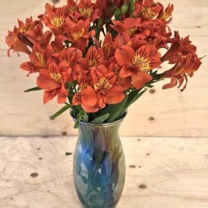 Orange Inca Lily plant vibrant orange blooms in a vase.