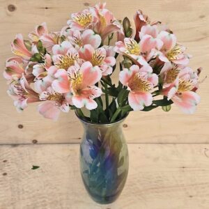 A vase of White Peach Inca Lily plant blooms.