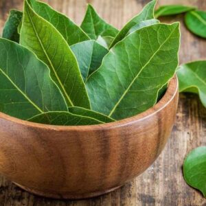Leathery green leaves of the Bay Laurel tree in a wooden bowl on a wooden table.