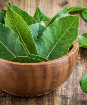 Leathery green leaves of the Bay Laurel tree in a wooden bowl on a wooden table.