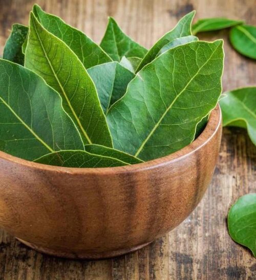 Leathery green leaves of the Bay Laurel tree in a wooden bowl on a wooden table.