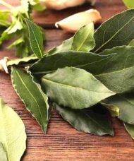 Cluster of leathery, wavy edged leaves from the Bay Leaf Plant.