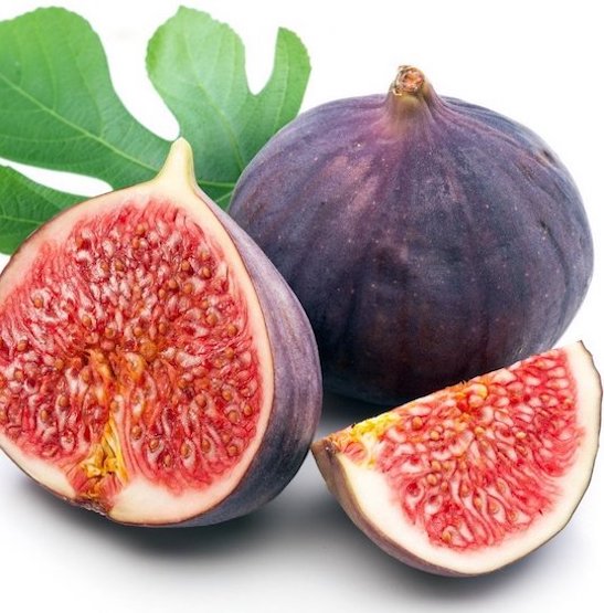 Chicago Hardy Fig Tree | Ficus carica 'Chicago Hardy' The dark purple fruit of Chicago Hardy Fig tree, with strawberry coloured flesh.