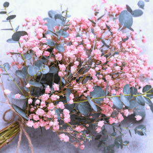 A rustic bouquet of Festival Pink Lady Baby's Breath and Eucalyptus, tied with twine.