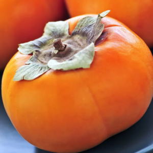 Laki Persimmon plant large orange fruit that has a lightly flattened square shape.