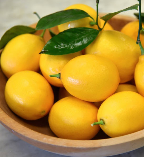 Meyer lemon tree | Dwarf lemon tree Yellow Meyer Lemon tree fruits in a bowl.