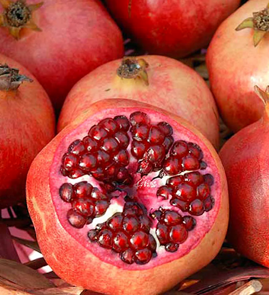 7 large, bright red Parfianka Pomegranate Tree fruit. One is cut open to reveal fleshy, large, bright red arils.