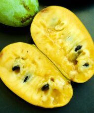 Pawpaw tree oblong fruit cut in half revealing creamy yellow flesh.