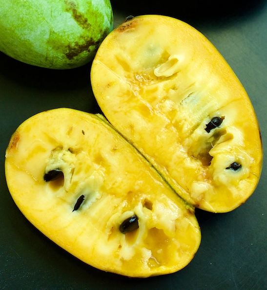 Pawpaw tree | Pawpaw plant | Asimina triloba Pawpaw tree oblong fruit cut in half revealing creamy yellow flesh.
