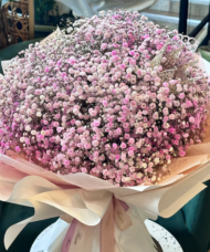 A bouquet of Pink Baby's Breath.