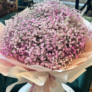 A bouquet of Pink Baby's Breath.