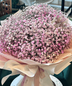 A bouquet of Pink Baby's Breath.
