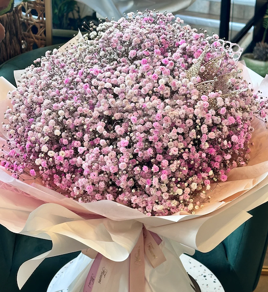 Pink Baby's Breath plant | Gypsophila paniculata 'Festival Pink Lady' A bouquet of Pink Baby's Breath.
