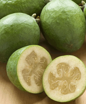 A group of Takaka Pineapple Guava plant green fruits, with one cut in half revealing a creamy centre.